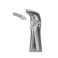 products/l_size_2935.jpg