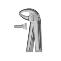 products/l_size_2936.jpg